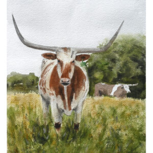 Longhorn