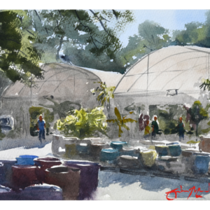 Greenhouses